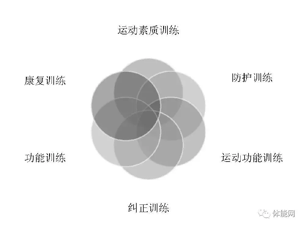 哪里能找到关于智能球衣在篮球训练中应用的信息_2